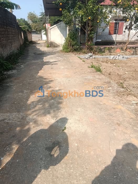 Bắc Giang: Đất 207m² Mặt tiền Chợ Gió Lương Phong, Giá 1 Tỷ - Cơ hội đầu tư