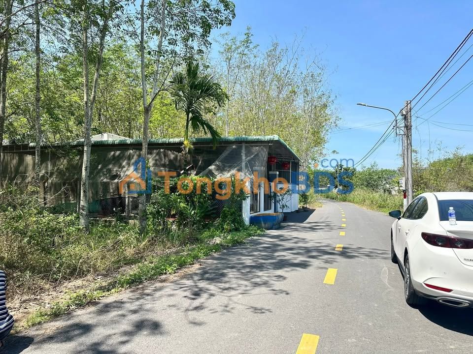 Đất Nền Mặt Tiền Nhựa Lai Uyên, Bàu Bàng - 420m² - Sổ Hồng Thổ Cư