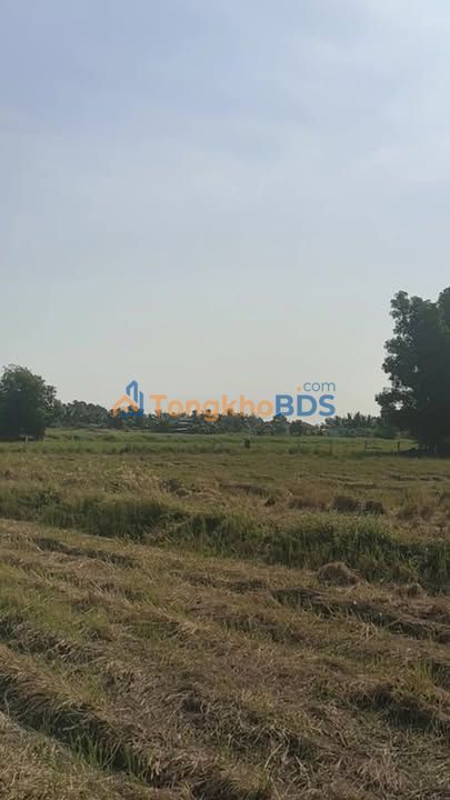 Đất Vườn 10,000m² Sổ Đỏ Thổ Cư 1100m² - Xã Mỹ Lộc, Long An