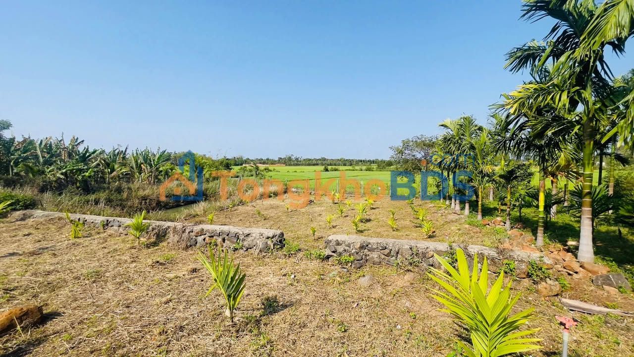 Bán Đất Vườn Đắk Lắk 3600m² Trồng Sầu Riêng, Cau - Sẵn Sàng Đầu Tư