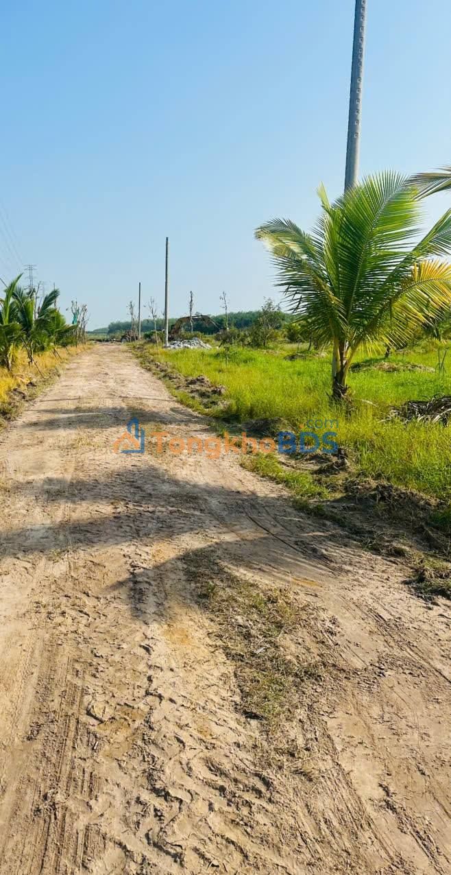 Đất Nền Thổ Cư Xã Phan, Dương Minh Châu - Sổ Đỏ Sẵn Sàng