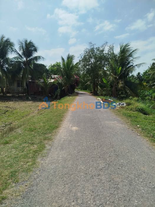 Bán Đất Vườn 4000m² Mặt Tiền Nhựa Châu Thành, Trà Vinh - Giá Đầu Tư 4.2 Tỷ