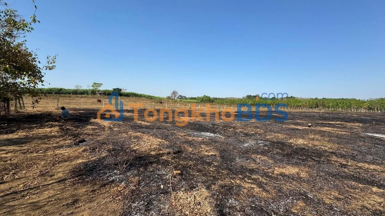 Bán Đất 2750m² MT Đường Đất Đỏ, Chơn Thành - Giá 3xx Triệu