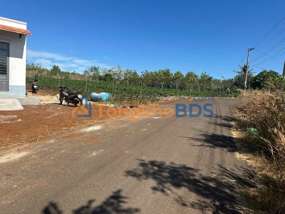 Đất Nền 3600m² Mặt Tiền Nhựa 9m7 - Giá 270 Triệu Tại Đồng Nai