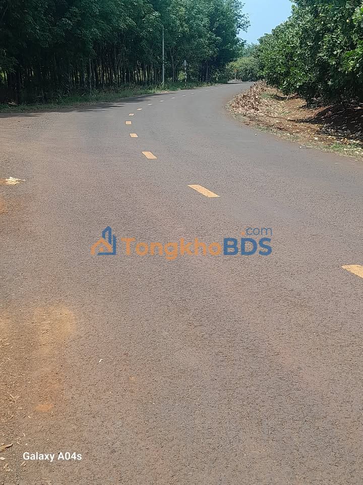 Bán Gấp 9.3ha Đất Vườn Phú Riềng, Bình Phước - Sẵn Sàng Chuyển Đổi Cây Ăn Trái