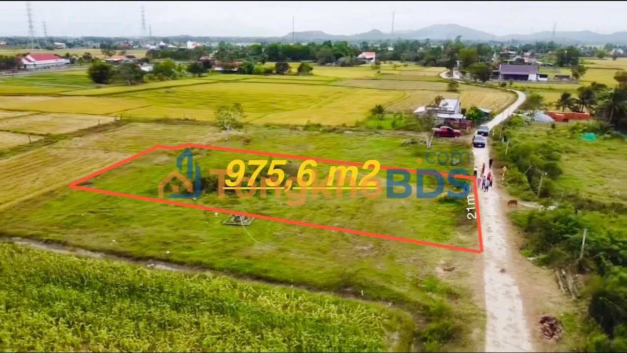 Đất Mặt Tiền 975m² Full Thổ Cư Tại Ninh Hòa - Sẵn Sàng Xây Nhà Vườn