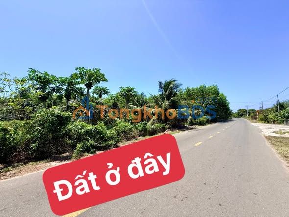 Đất Vườn 1000m² Phước Hải - Sổ Hồng Riêng, Cách Biển 3km