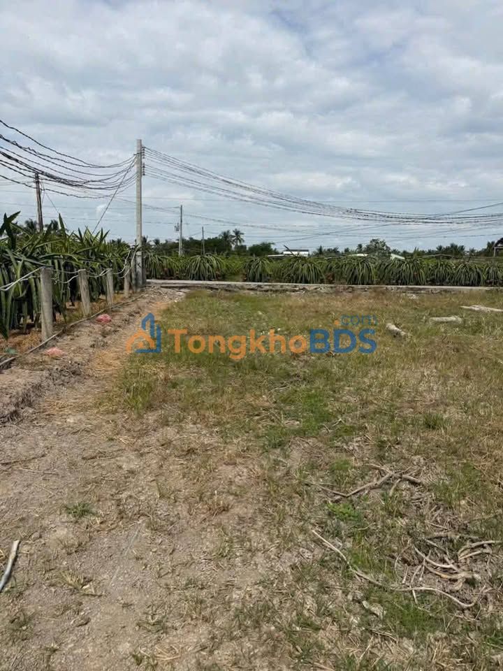 Đất Nền Mặt Tiền Bờ Sen - Châu Thành, Long An - 135m² Sổ Hồng Riêng