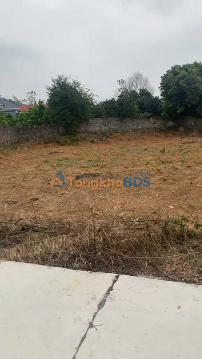 Đất Nền 422m² Trung Hậu, Bắc Giang - Sẵn Sổ Hồng, Giá Đầu Tư