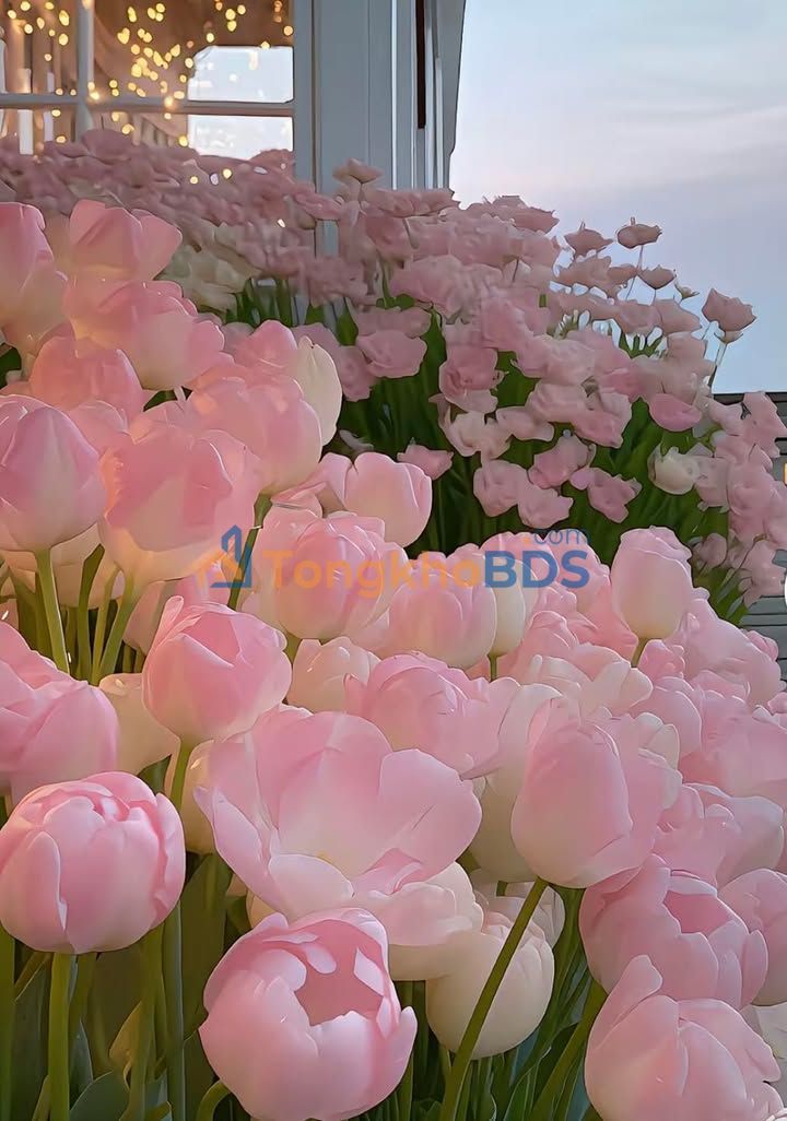 Đất Nền Hòa Châu 90m² Nở Hậu - Giá 2.75 Tỷ, Gần Đại Học Duy Tân