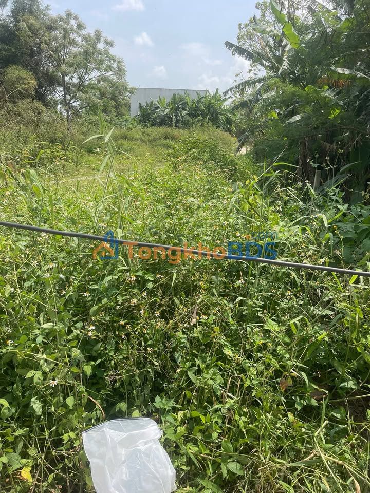 Bán đất Hòa Xuân 100m² hướng Tây Bắc - Giá 1.5 tỷ - Sổ đỏ sẵn sàng