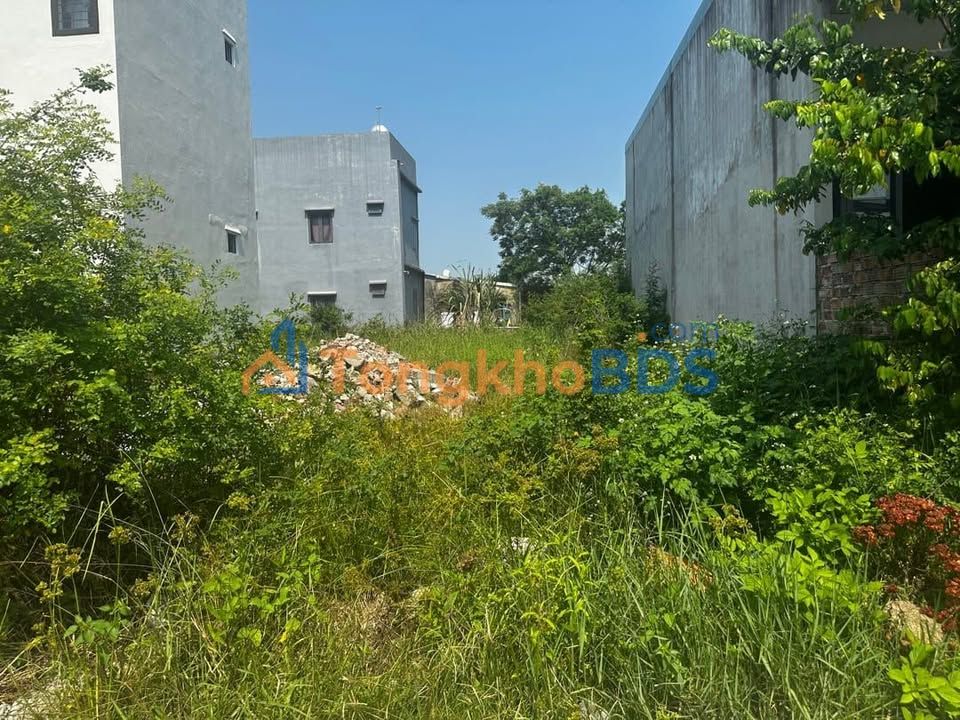 Đất nền 100m² Lưu Quang Vũ, Cẩm Lệ - Giá tốt đầu tư