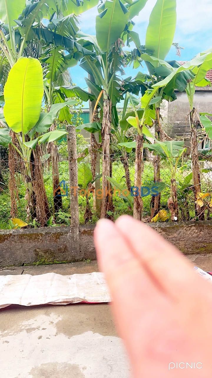 Đất nền Xóm Eo Bù, Vinh 141m² - Mặt tiền rộng, full thổ cư, giá tốt