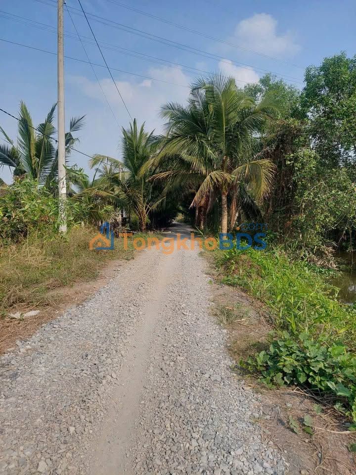 Bán Gấp Đất Vườn 1000m² Mặt Tiền Kênh Bến Lức, Long An - Giá 1.5 Tỷ