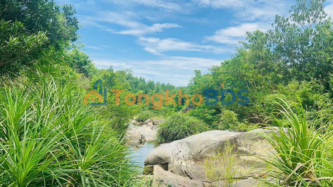 Bán 100 Tỷ Farm 10ha Bám Suối Lớn - Diên Khánh, Khánh Hòa