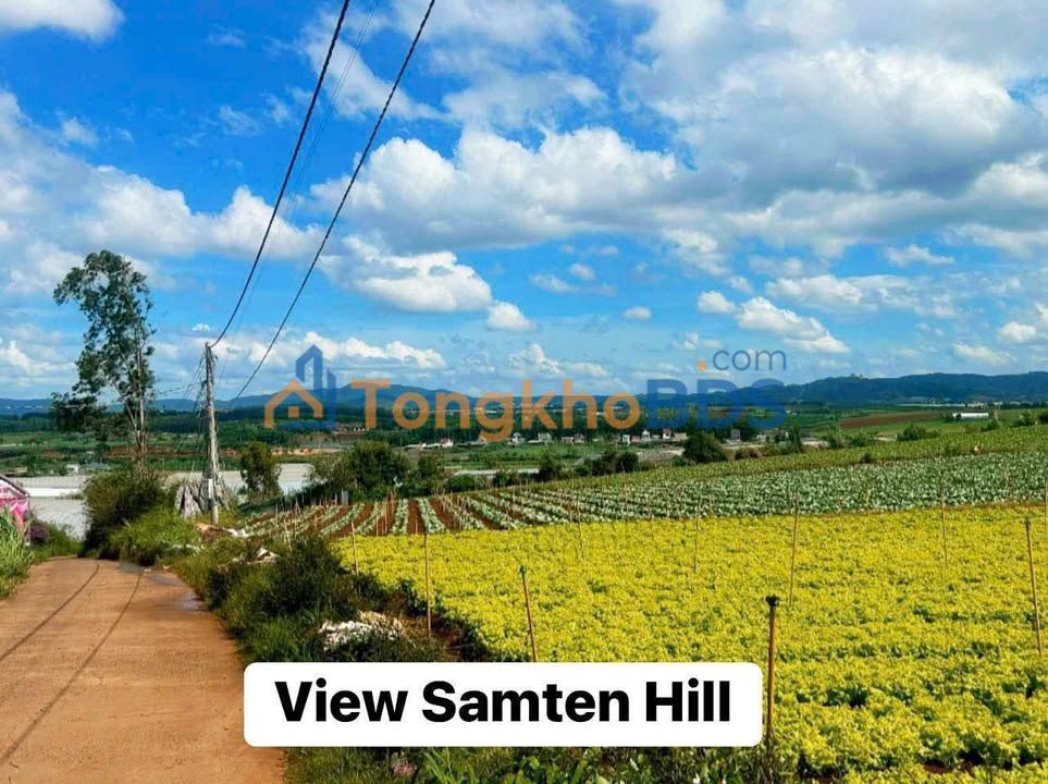 Đất Nền Đức Trọng 1318m² - 800m² Thổ Cư, 2 Mặt Tiền, Giá Tốt