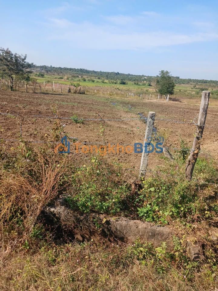 Bán Gấp Đất Phường Thành Tô, Hải An, Hải Phòng - 360m² Giá 435 Triệu