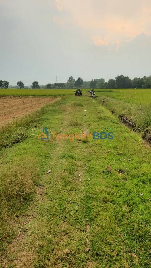 Bán đất vườn Củ Chi 487m² giá 750 triệu - Sổ hồng sẵn sàng