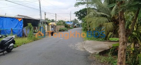 Bán Gấp Đất Vàng Long An: 1000m² Mặt Tiền Kênh T2, 2.2 Tỷ Sổ Đỏ