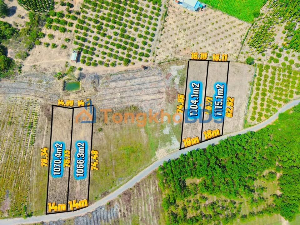 Đất nền Sổ Đỏ 1000m² Xuyên Mộc, Bà Rịa - Giá F0 chỉ 850 triệu