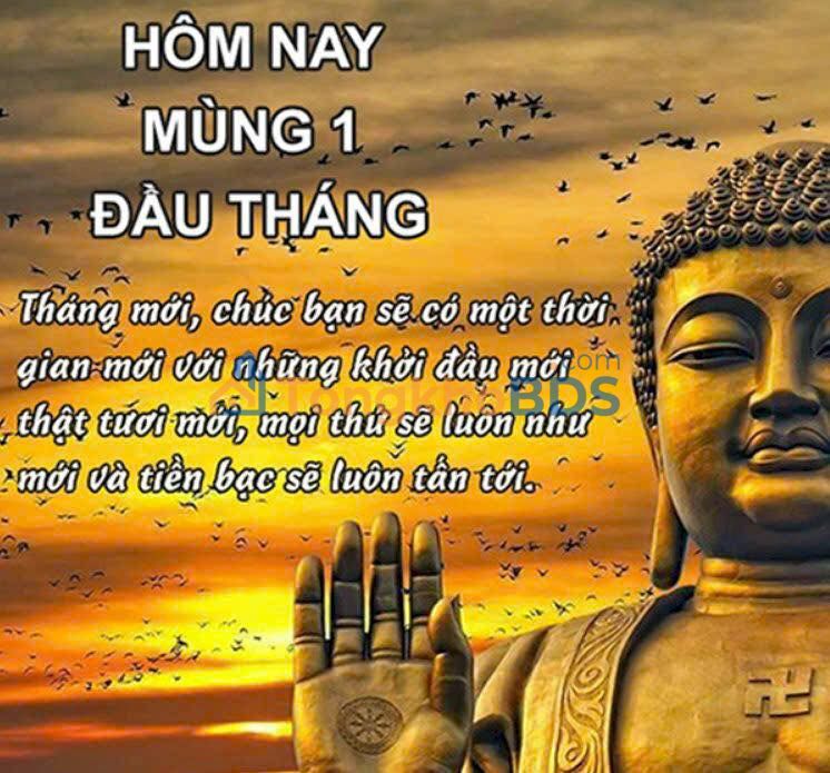 Đất Lộc 1, Tam Nông, Phú Thọ - 80m² Giá 1x Tỷ, Sẵn Sàng Chốt