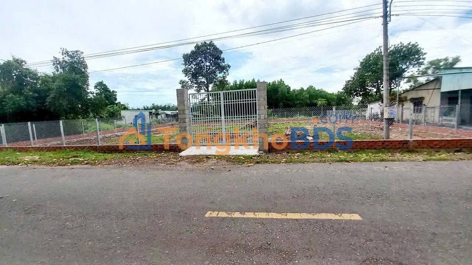 Đất Vàng Long Phước Thủ Đức 1106m² - Ngang 33m, Sẵn Sổ Hồng