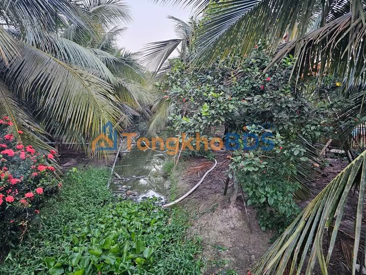 Bán Đất Mỹ Tho 900m² - Sổ Đỏ Rõ Ràng, Giá Tốt