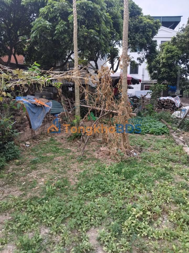 Bán đất Phường Biên Giang, Hà Đông 32m² - Giá chỉ 2 tỷ, Sổ đỏ sẵn sàng