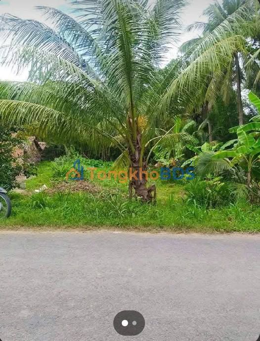 Bán Gấp Đất Nền Châu Thành, Trà Vinh - 480m² Mặt Sông Thoáng Mát, Sổ Hồng Sẵn Sàng