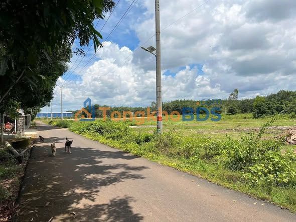 Đất nền Lộc Ninh 100m² - Mặt tiền nhựa, cách QL13 chỉ 300m