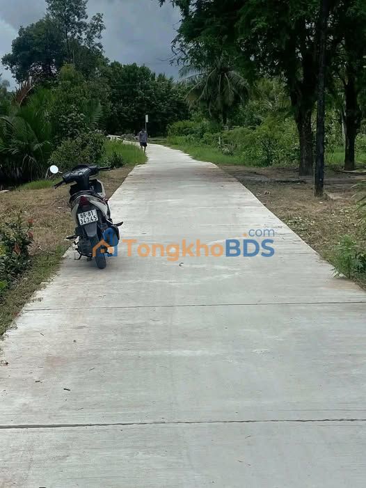 Bán Gấp Đất Vườn 2600m² Xã Lương Thế Trần, Cà Mau - Giá 580 Triệu