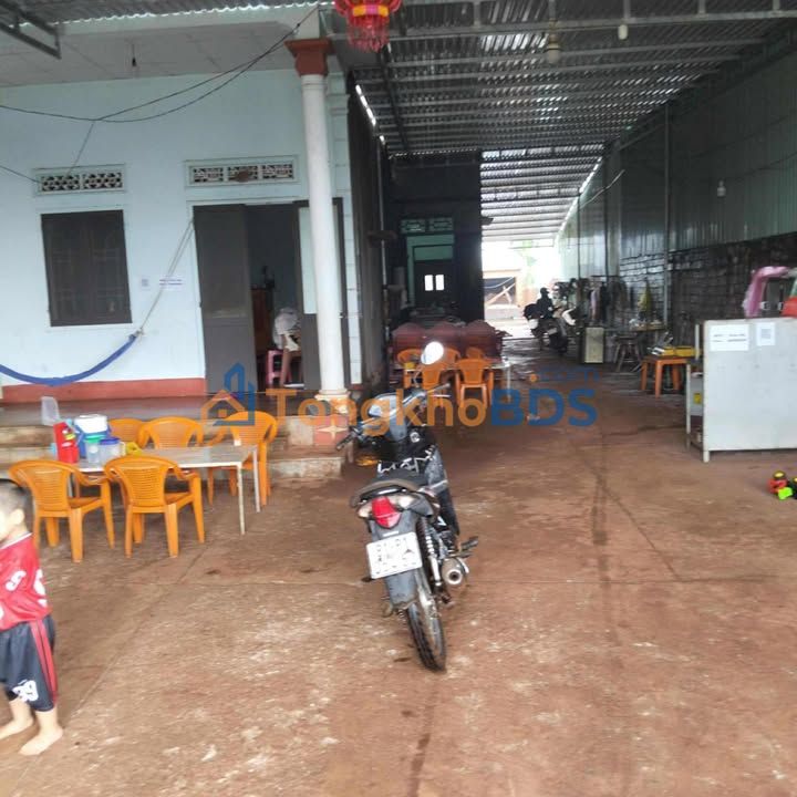 Nhà Cấp 4 Mặt Tiền Liên Xã An Nhơn 400m² - Kinh Doanh Đa Ngành