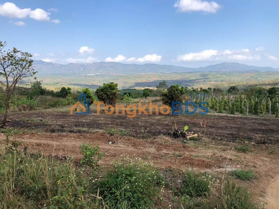 Đất nền Xã Trang Đăk Đoa 1800m² giá thỏa thuận - Sổ đỏ chính chủ