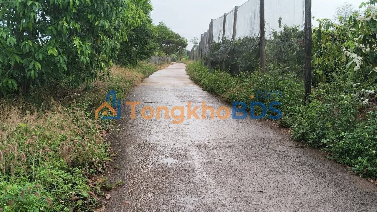 Đất Ia Kha, Gia Lai - 150m² Full Thổ Cư, Giá 230 Triệu - Sẵn Sổ