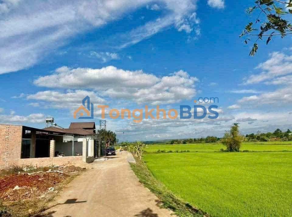 Đất nền Hẻm Lý Thường Kiệt, Pleiku - 130m² Giá chỉ 6xx Triệu/lô