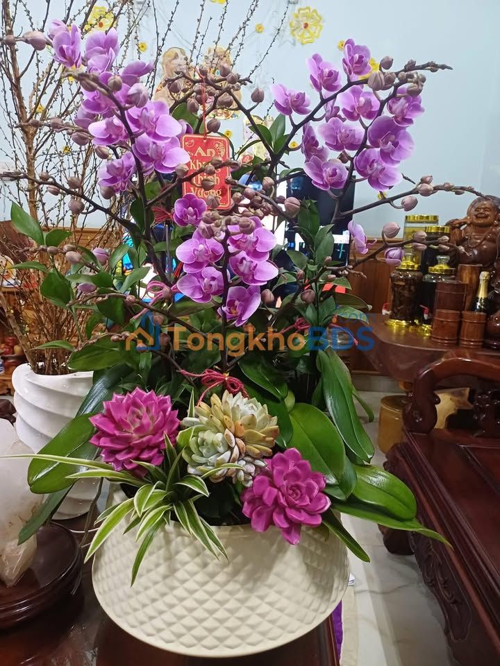 Đất nền Pleiku Trần Nhân Tông 95m² 1,3 tỷ - Sổ đỏ chính chủ