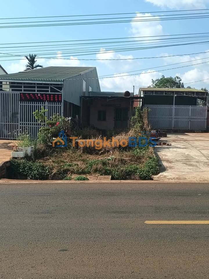 Bán Gấp Đất Nền Thổ Cư 250m² Tỉnh Lộ 663, Gia Lai - Sẵn Sàng Đầu Tư