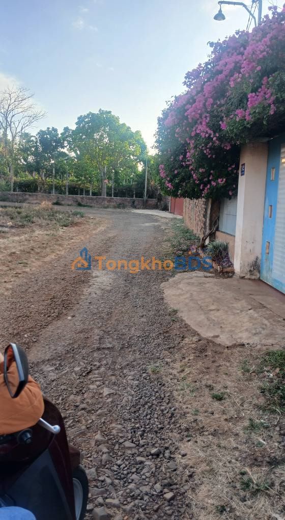 Bán Đất Trần Phú Đắk Đoa 186m² - Sổ Đỏ Đất Ở, Giá 1 Tỷ