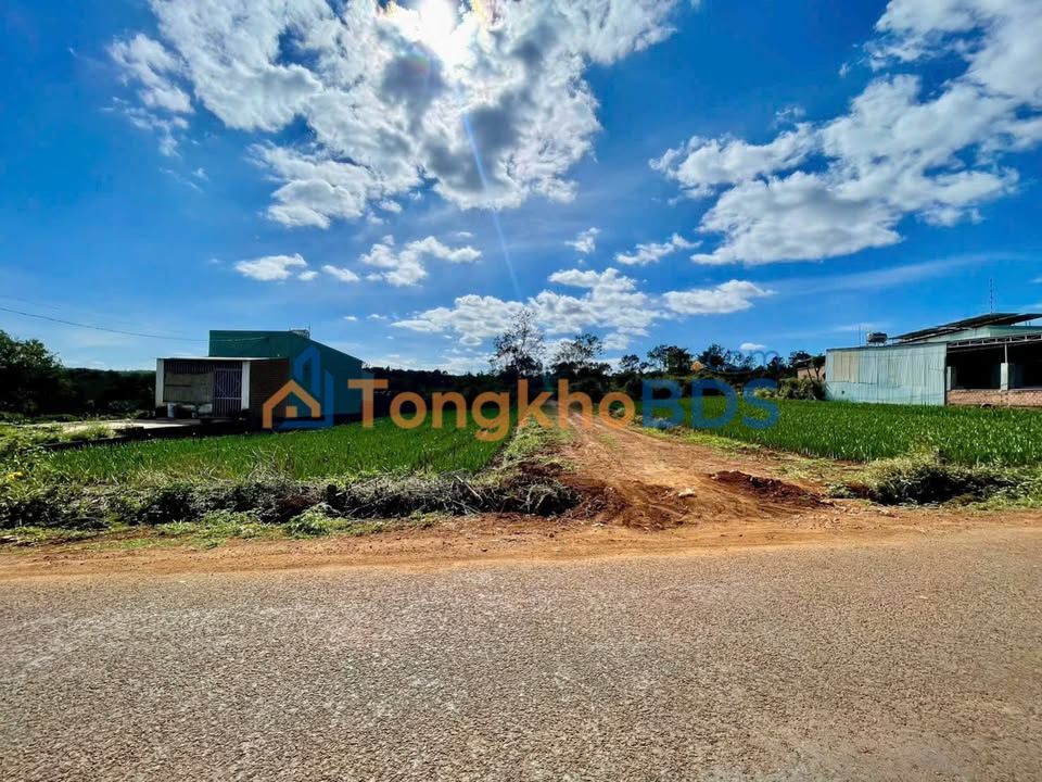 Đất Thổ Cư 200m² Mặt Tiền Nguyễn Siêu, Sơn Trà - Giá Tốt Đầu Tư