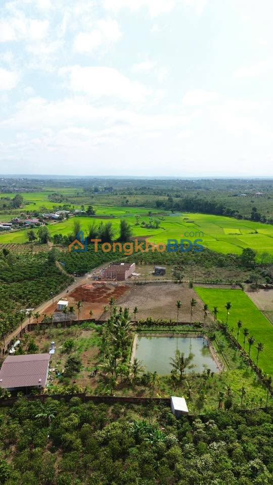 Farm 3550m² Hẻm Nguyễn Chí Thanh, Pleiku - Không Gian Yên Bình