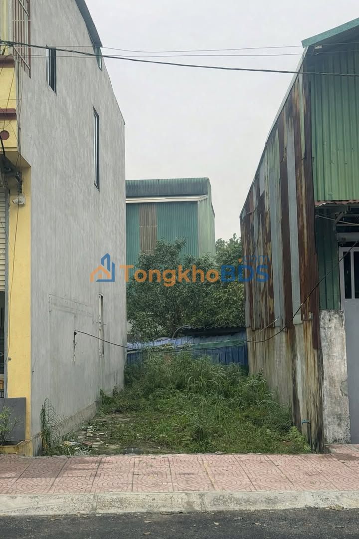 Đất Sổ Đỏ Thanh Oai 58.5m² - Vị Trí Vàng, Giá Đầu Tư