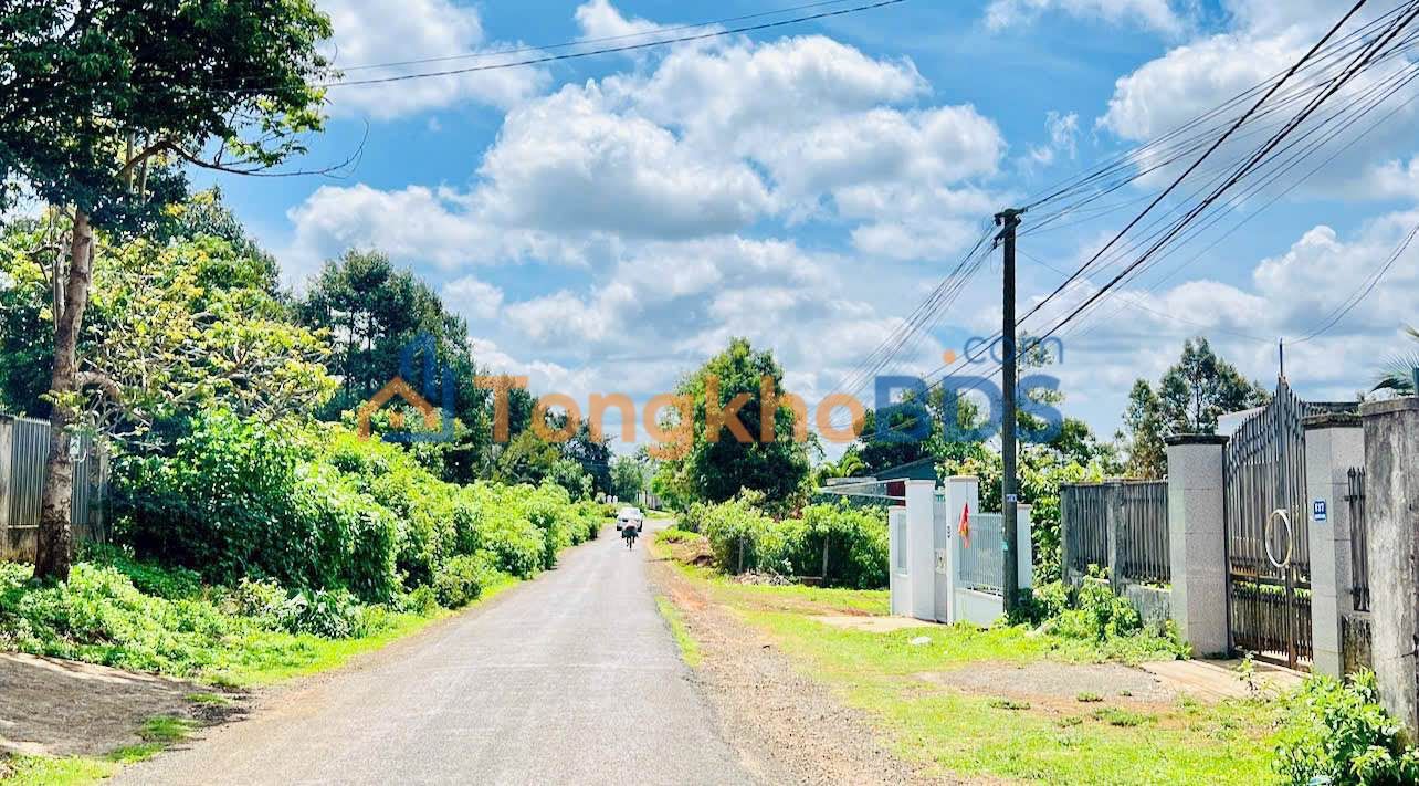 Đất Nguyễn Kiệm Pleiku 642m² 1xx triệu/m - Đường to ô tô