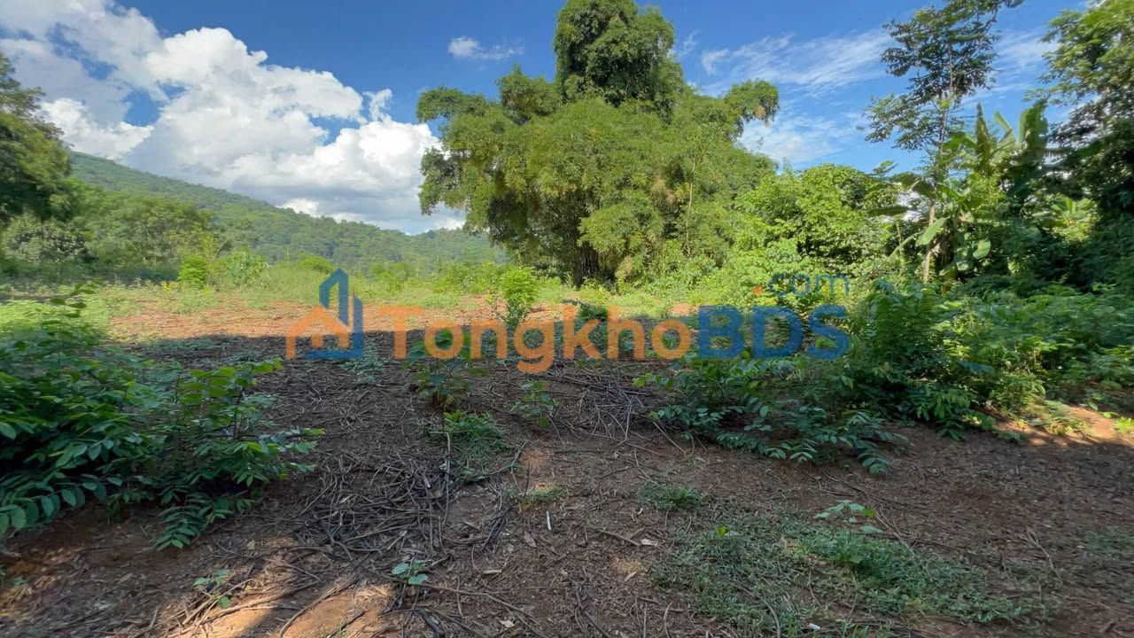 Đất nền nghỉ dưỡng 1200m² view núi hồ tại Văn Sơn, Lạc Sơn - 850 triệu