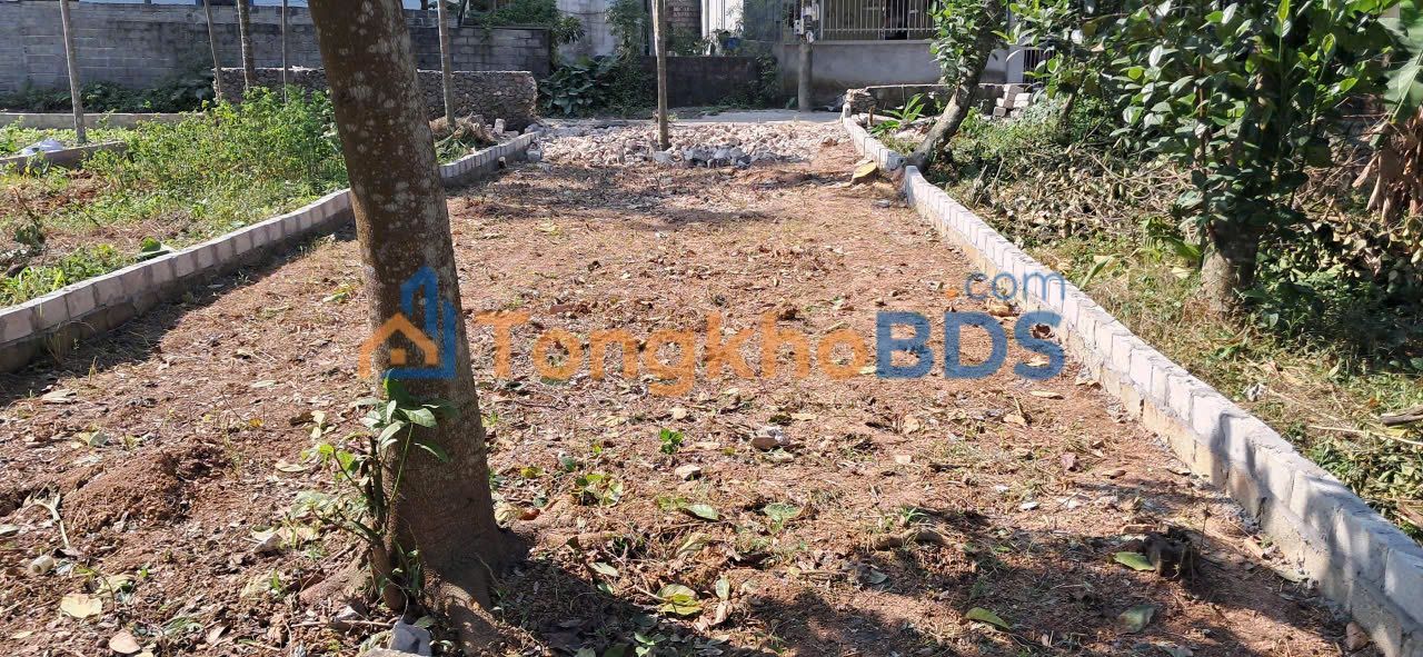 Đất Nền Thọ Hợp, Mỹ Đức 107m² - Sổ Đỏ Vuông Vắn, Giá Đầu Tư