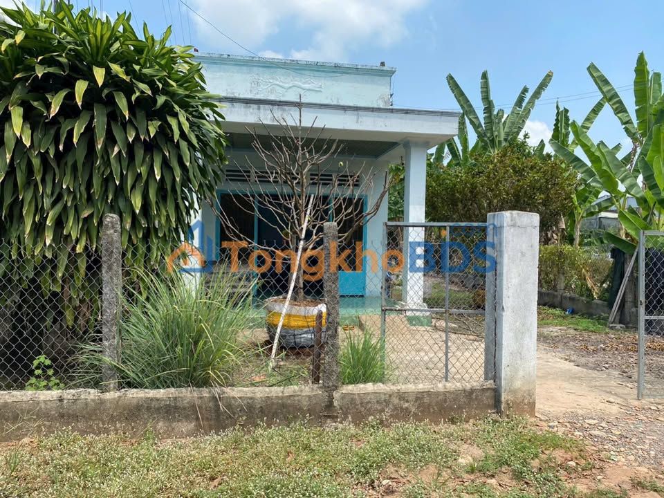 Nhà riêng Ấp Tam Hạp Gò Dầu 250m² 1.2 tỷ - Chính chủ bán