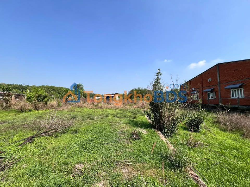 Đất Vàng Mặt Tiền Nhựa, Gần KCN Phước Đông - 210m², Sổ Sẵn, Giá Tốt