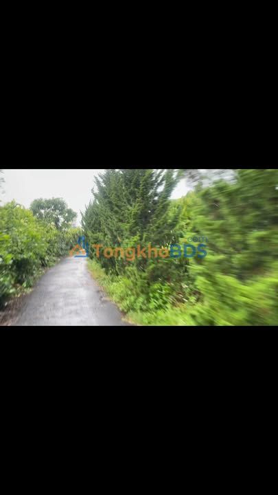 Đất nền Đường Lê Lai Lộc Châu 4100m² - Sổ đỏ chính chủ