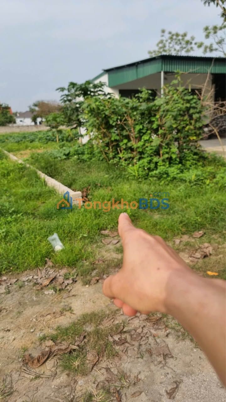 Bán Đất Nở Hậu 152.3m² Hướng Đông Bắc - Ngõ Lê Viết Thuật, Nghi Phong