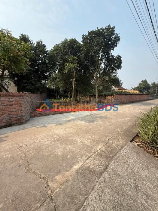 Bán Đất Nền Thanh Đình, Việt Trì - 121m² - 850 Triệu/Ô