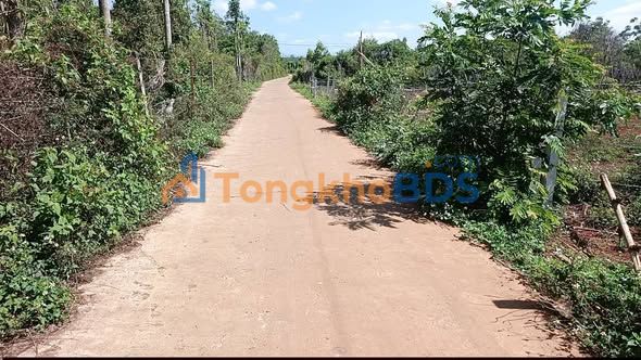 Đất Nền Krông Bông, Đắk Lắk - 336m² Giá 575 Triệu, Sổ Đỏ Rõ Ràng